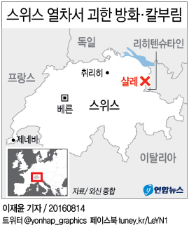 스위스 열차서 괴한 방화·칼부림…6명 부상(종합2보) - 1