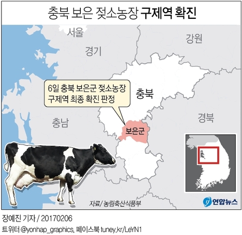 충북 보은 젖소농장 구제역 확진…"일시 이동중지 검토" - 2