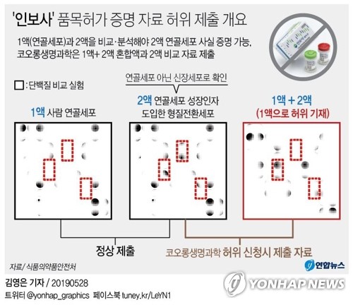 식약처, 코오롱생명과학 '인보사' 허가취소·형사고발(종합2보) - 4