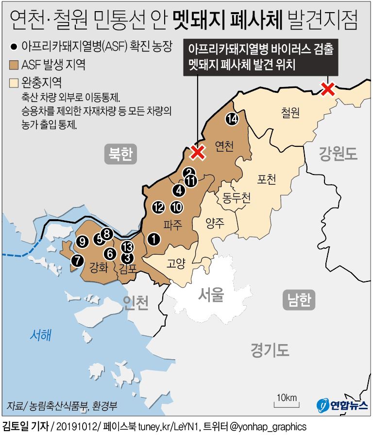 [그래픽] 연천·철원 민통선 안 멧돼지 폐사체 발견 지점