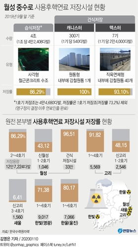 "맥스터 건설 허가로 월성 2~4호기 가동중단 위기 피했다"(종합) - 5