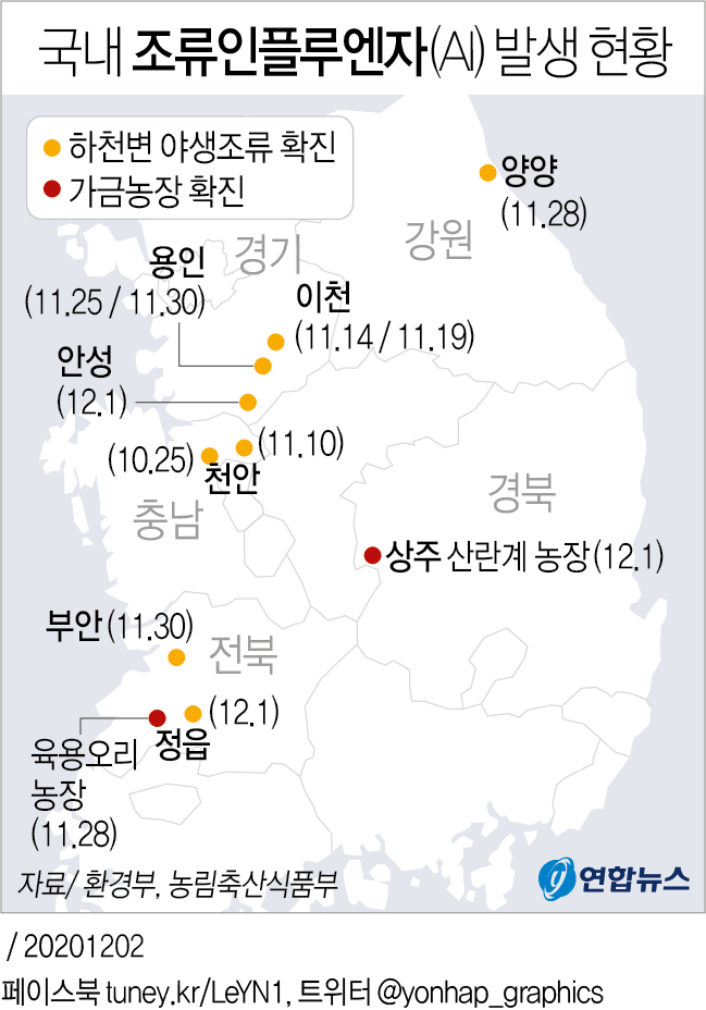 상주 농장서 고병원성 AI 확진…차단 방역 비상(종합2보) - 2