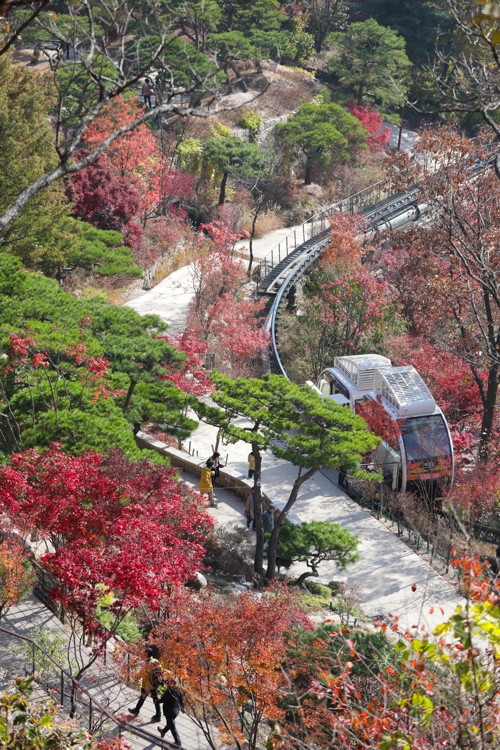 The monorail at Hwadam Botanic Garden