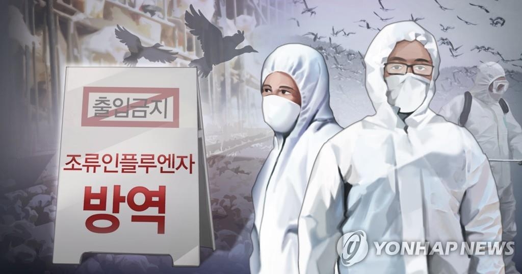 S. Korea culls chickens over outbreaks of two more H5N1 bird flu - 1