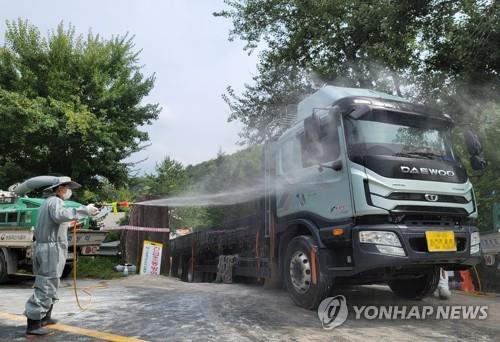 A quarantine official disinfects a livestock vehicle near a pig farm in Hongcheon, Gangwon Province, northeastern South Korea, on Aug. 26, 2021, after another case of African swine fever was confirmed there. (Yonhap)