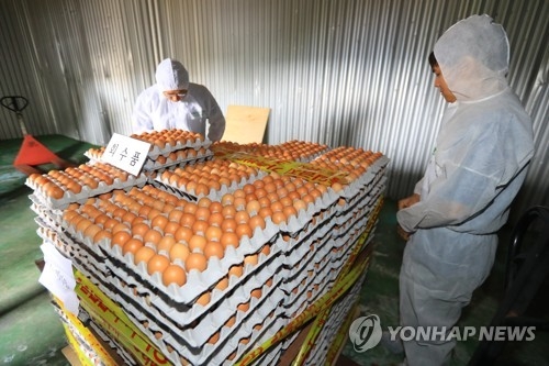 基準値を上回る殺虫剤成分が検出され、回収された鶏卵＝１８日、済州（聯合ニュース）