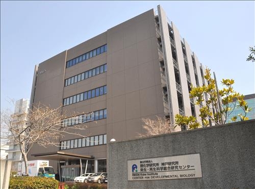 113번 원소 이름 '자포니움'되나…日, 아시아 첫 원소명명권 - 2