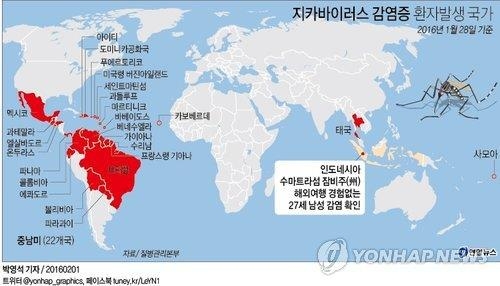 <지카 비상> '뎅기열도 퍼지는데'…동남아 국가들 긴장 - 2