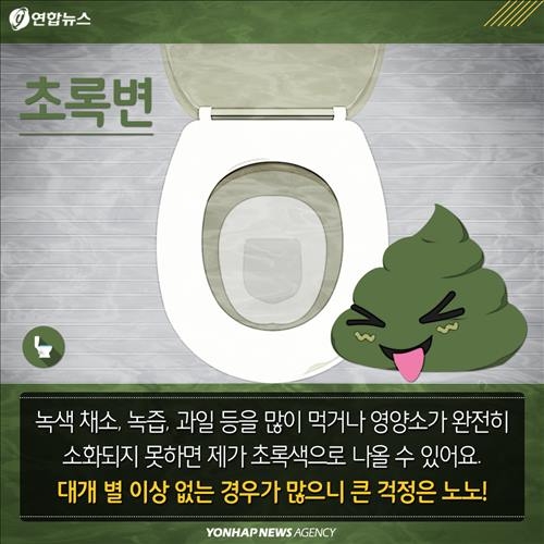 <카드뉴스> '큰일' 봤으면 확인은 필수…변 보면 건강 보인다 - 7