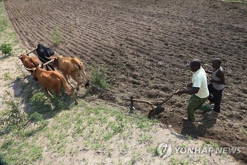 짐바브웨, 가뭄·식량 부족에 '재난 상태' 선포 - 2