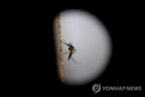 중국도 지카 바이러스 방역 비상…WHO "겨울 확산 가능성 낮아" - 2
