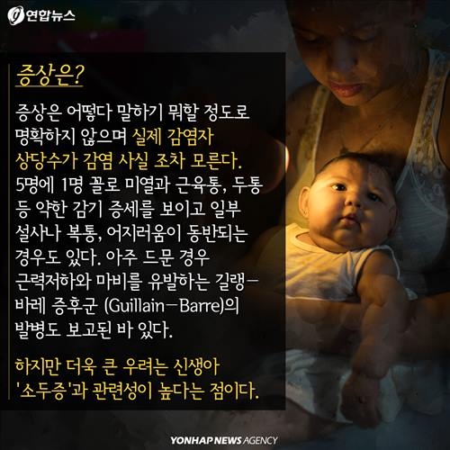 <카드뉴스> '알아야 막는다'…지카 바이러스를 둘러싼 문답 - 4