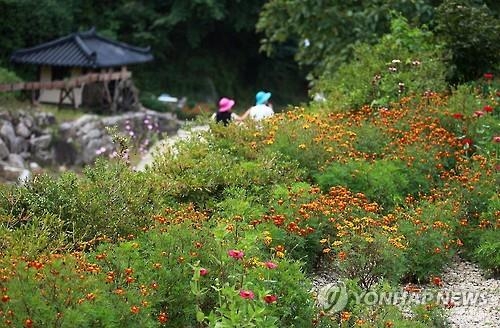 관광공사, '우수 도시민박 인증' 코리아스테이 신청 접수 - 2
