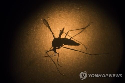 美FDA "최근 4주간 지카발생국 여행자 헌혈자제" 지침 발표 - 3