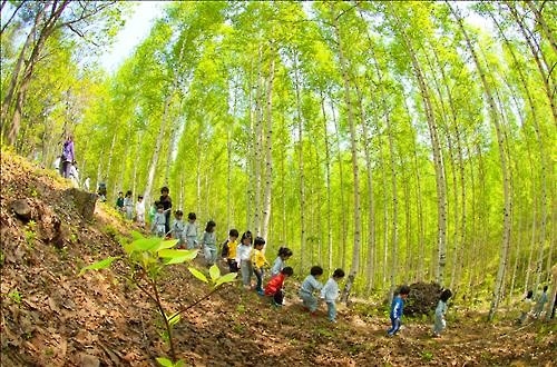 <길따라 멋따라> '순백의 세상' 인제 자작나무 숲 - 5