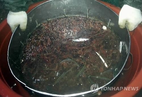 봄철 한강 어민 울리는 '끈벌레' 실체 밝힌다 - 2