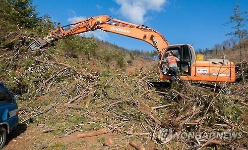 "소나무 재선충병 막아라"…군산 산림 10% 감염 '비상' - 2