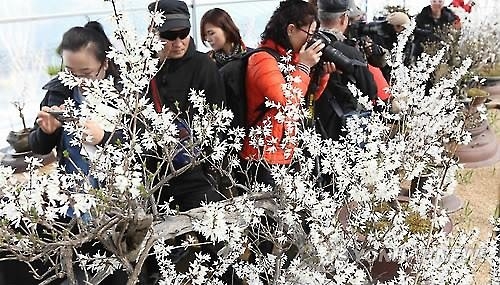'봄내음 물씬' 충북 산·유원지 상춘객 '물결' - 2