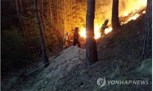 산림청 "건조한 날씨 산불 주의해야" - 2