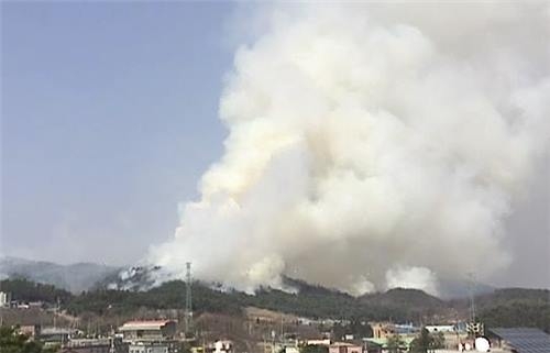 충북 건조주의보 속 산불 잇따라…임야 3.4㏊ 소실 - 2