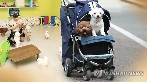반려동물 인구 1천만 시대…전문 교육은 '걸음마' - 2