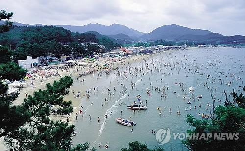 "풍덩" 전북 8개 해수욕장 7월1일 일제히 개장 - 2