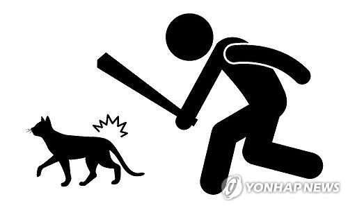 버려지는 고양이 매년 2만∼3만마리…길고양이 100만마리로 - 3