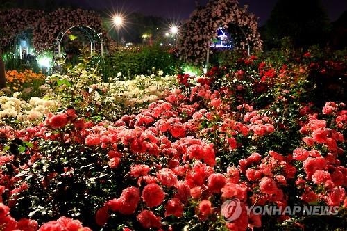 모처럼 옅어진 미세먼지…축제장·관광지 나들이 인파 넘쳤다(종합2보) - 4