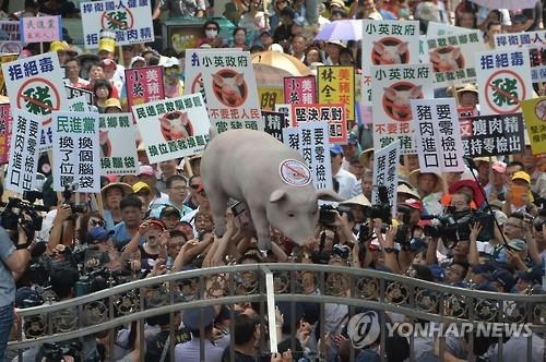 대만서 미국산 돼지고기 수입반대 시위 - 2