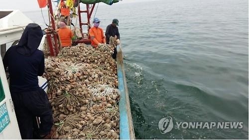 "잘 자라렴"…부안군 주꾸미 산란·서식장 조성 - 2
