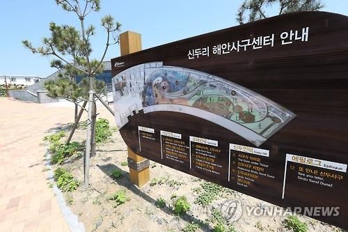 신두리 해안사구, 바람과 모래가 빚어낸 예술 작품 - 6