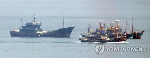 중국 어선 불법조업에 올해 꽃게 어획량 70% 급감 - 2