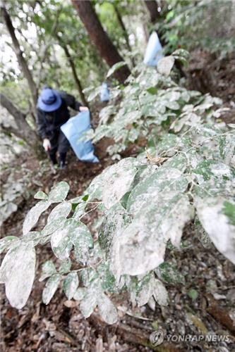 '쫓지는 못하고, 놔두면 못 살겠고'…주민들 '철새 전쟁' - 3