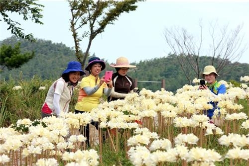 <가고 싶은 섬> 머물면, 그대로 추억이 된다…부안 위도 - 2