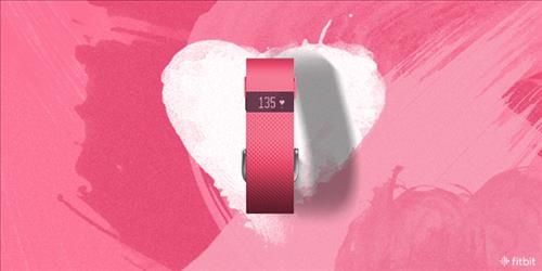 핏빗, 핑크색 스마트밴드 '차지 HR' 100대 한정 판매 - 2