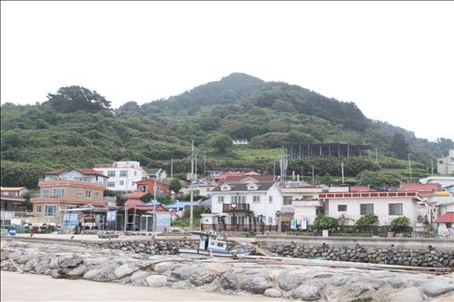 <가고 싶은 섬> 출렁다리로 연결 '힐링섬' 연대도와 만지도 - 5