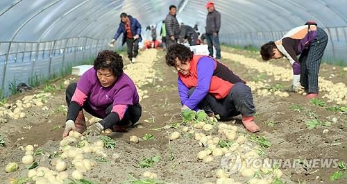 가격 폭락 걱정 없이 농사 진다…전북도 최저가격제 도입 - 2