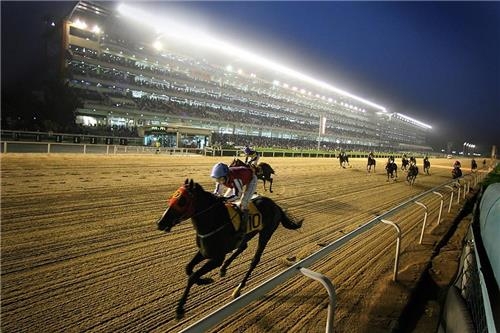 <경마소식> 렛츠런파크 서울, 7월 1일부터 야간 경마 - 2