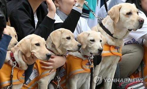 "동물 복지도 챙긴다"…여야 의원, 연구모임 발족 - 2