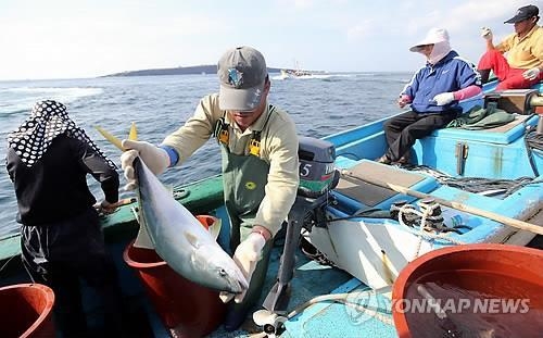 제주 바다생물 "너무 추워 못살겠어요"…2년새 수온 1도 급락(종합) - 4