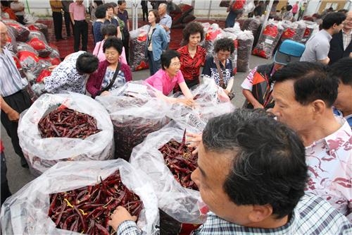 "고추 사러 오세요"…진안 마이산 고추시장 14일 개장 - 2