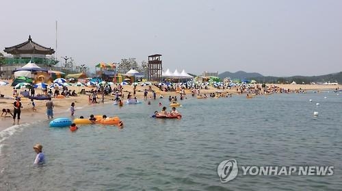 경북 해수욕장 피서객 7% 증가…553만명 찾아 - 2