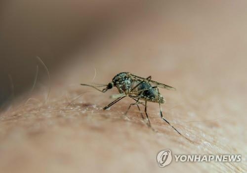 싱가포르서 지카 바이러스 무더기 감염…현재까지 41명 확인 - 3