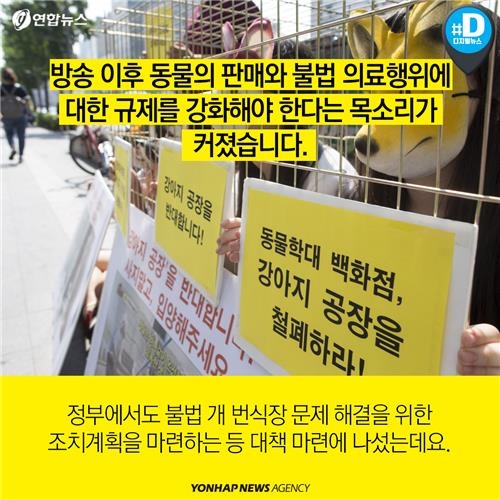 <카드뉴스> 배가 아픈데 어디로 가야하냥? 약국, 아니면 병원? - 3