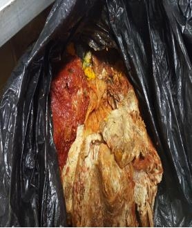 곰팡이 김치