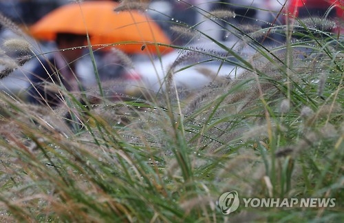 '주룩주룩' 비 내리는 전북…최대 30㎜ 예상 - 1