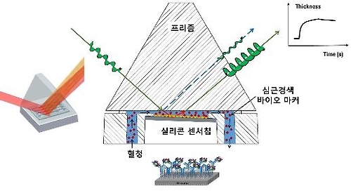 실리콘 센서의 신호증폭 원리