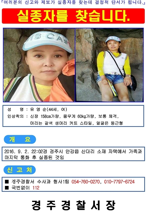 실종자 전단