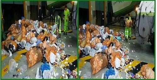쓰레기에 이물질이 있는지 검사하는 모습