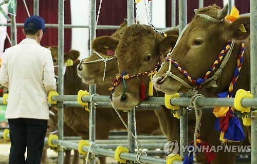 연합뉴스 자료사진